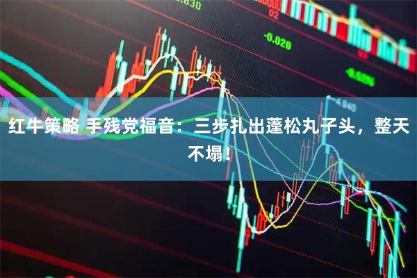 红牛策略 手残党福音：三步扎出蓬松丸子头，整天不塌！